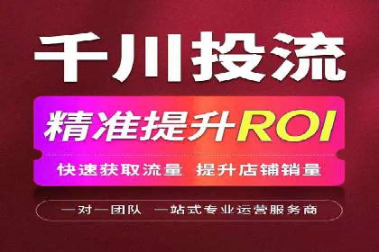 某公司如何通过SEM实现精准营销——从策略到执行的完整案例